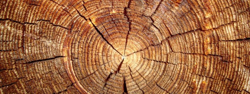 روشهای اصلاح چوب ترموود