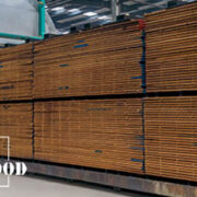 ترمو نما چوب نما ترمووود thermowood