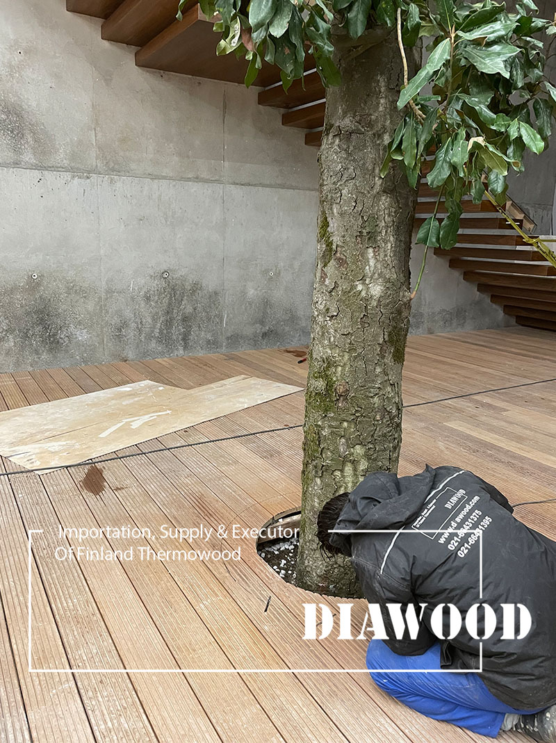 نصب و اجرای چوب ترمووود IPE مخصوص کف چوب ترموود کف THERMOWOOD کف سازی چوبی